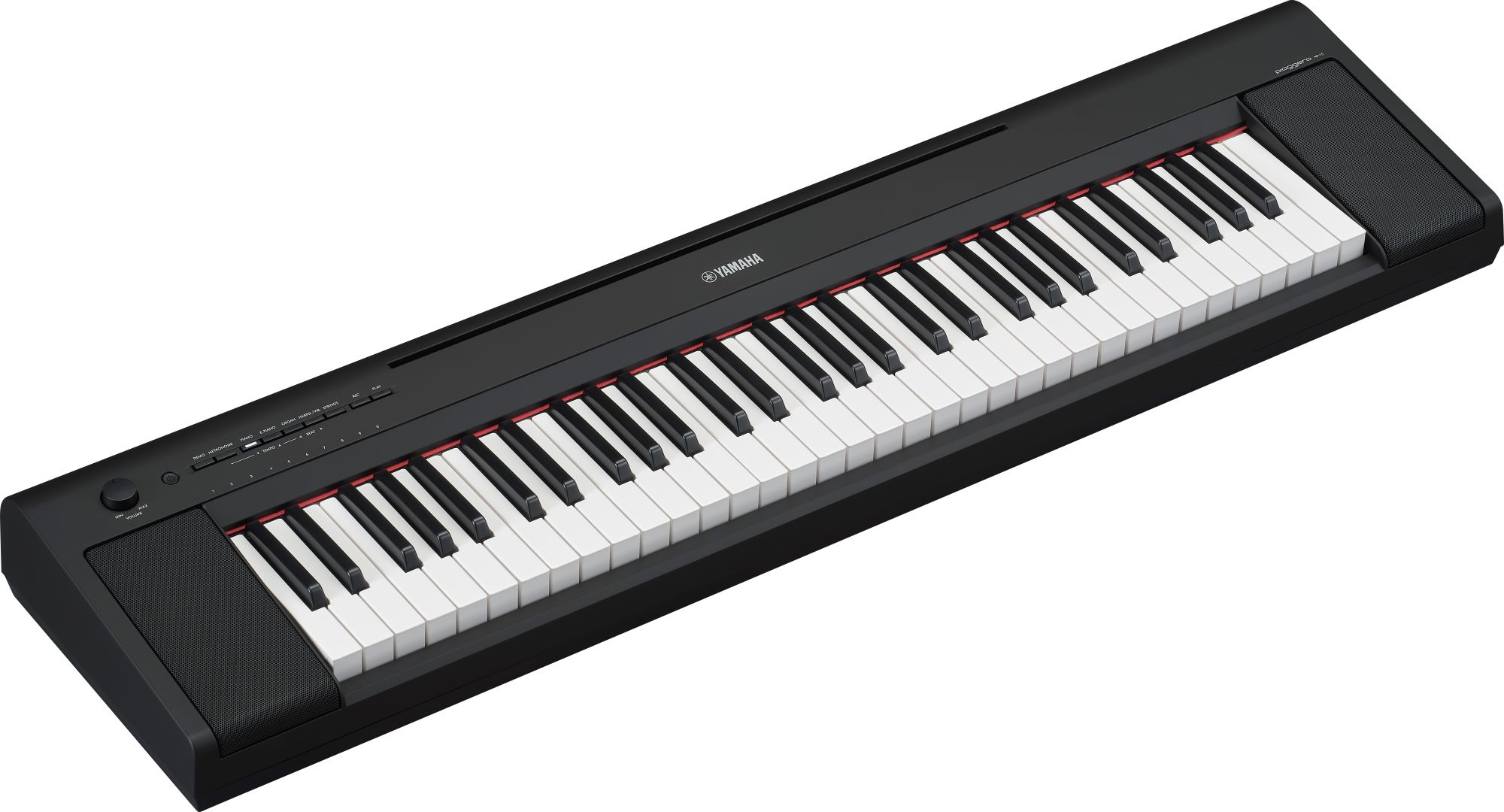 NP-15 Piaggero 61-Key Slimline Home Keyboard In Black