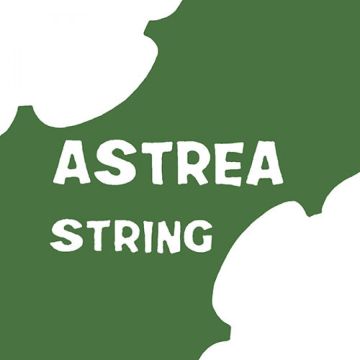 Astrea E 1st String For Three Quarter And Full 4 4 Size Violin Yamaha Music London