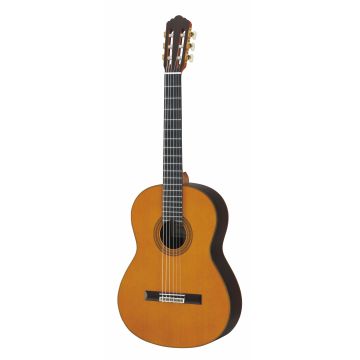 acoustic guitar souq