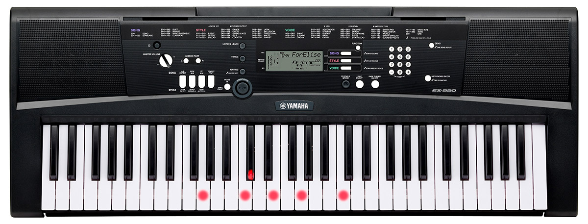 Yamaha EZ-220 Light-Up Home Keyboard | Yamaha Music London